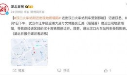 记者最新爆料事件新闻评论,事件最新进展引发社会广泛关注